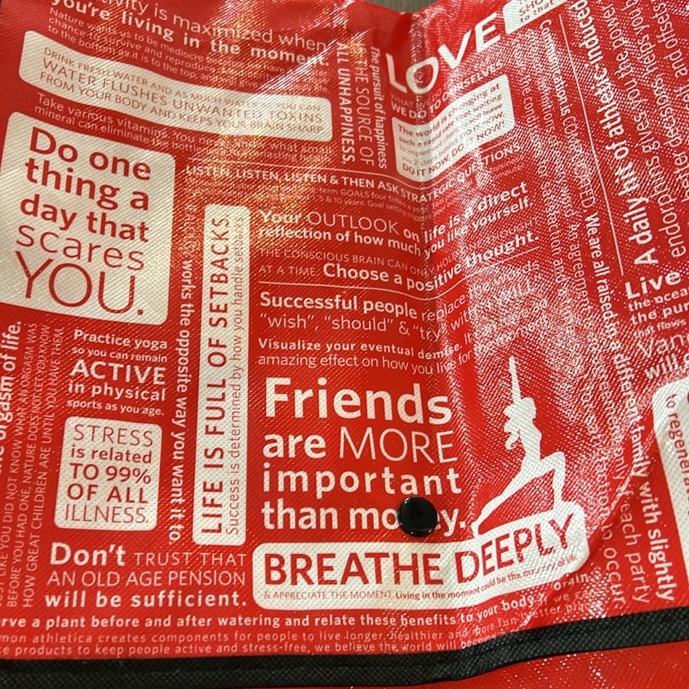 Vintage Lululemon messenger bag - Picture 2 of 6